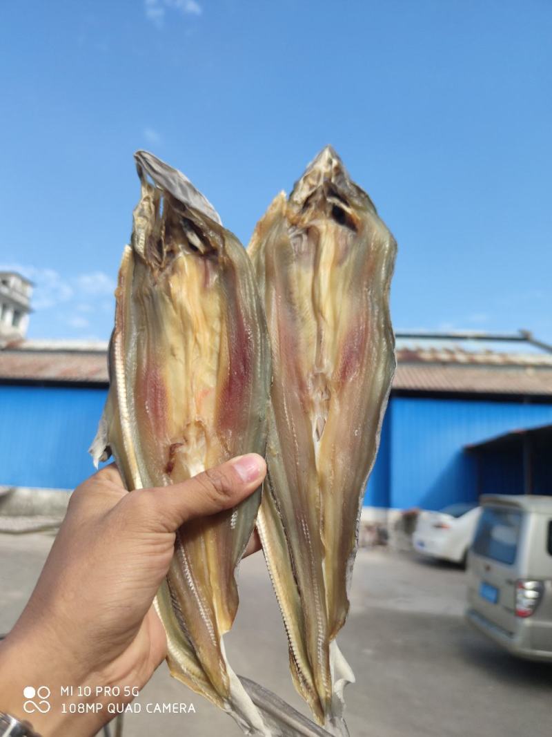 北部湾特产去头鲨鱼片鲨鱼片小鱼干小鲨鱼鱼干货淡晒鲨鱼片