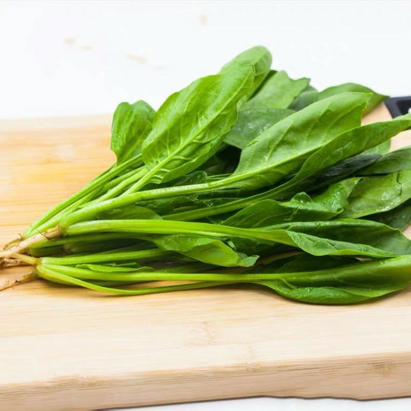 精品【大叶菠菜】产地直供品质保证货量充足价格便宜