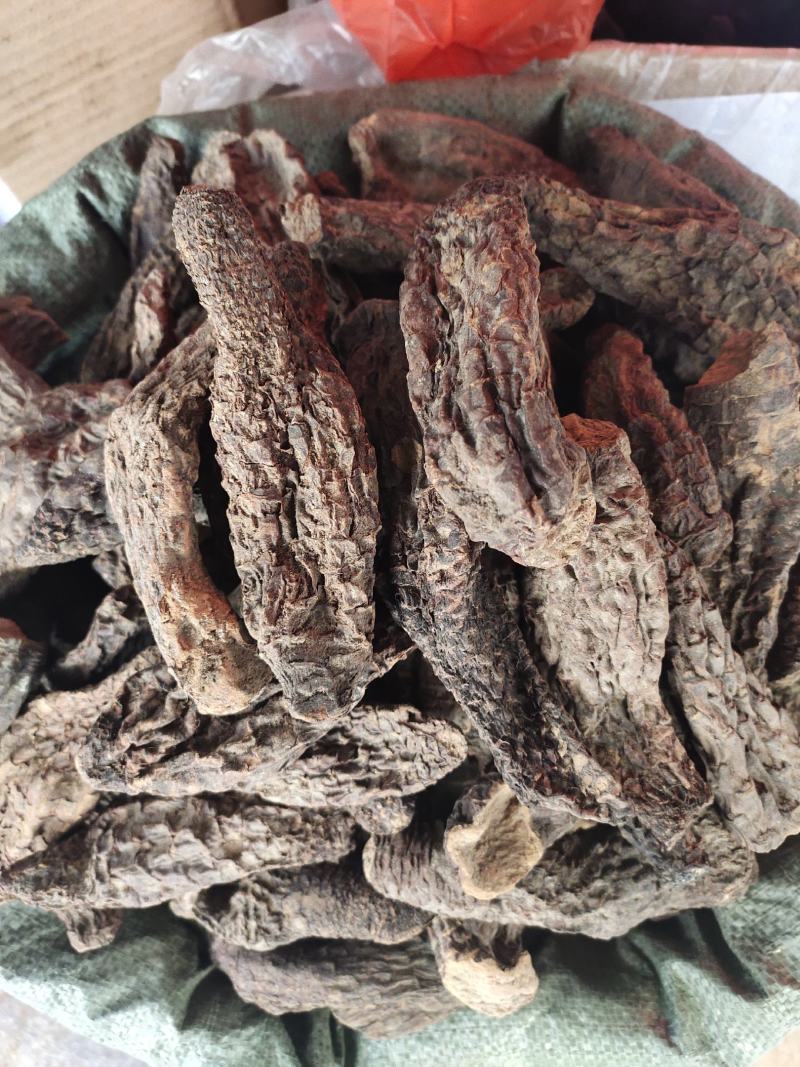原生肉苁蓉肉丛茸个子