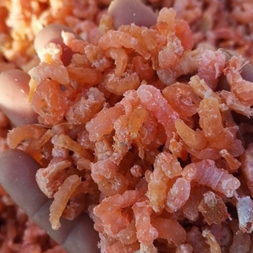 金钩海米（虾仁），渤海湾海虾米，淡干低盐分，口感好肉质松