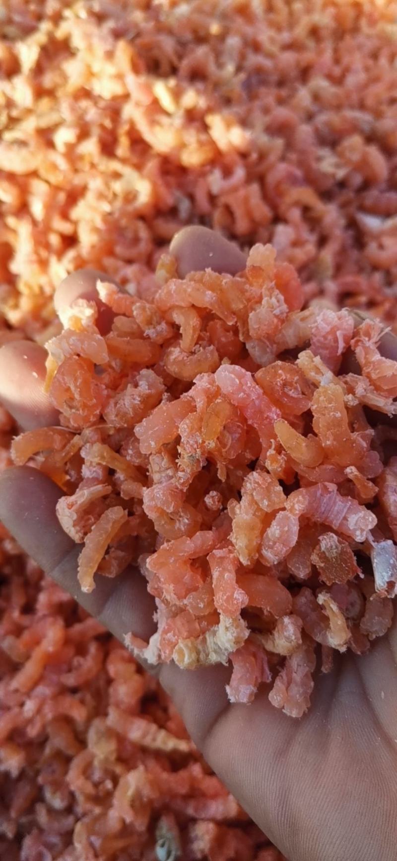 金钩海米（虾仁），渤海湾海虾米，淡干低盐分，口感好肉质松