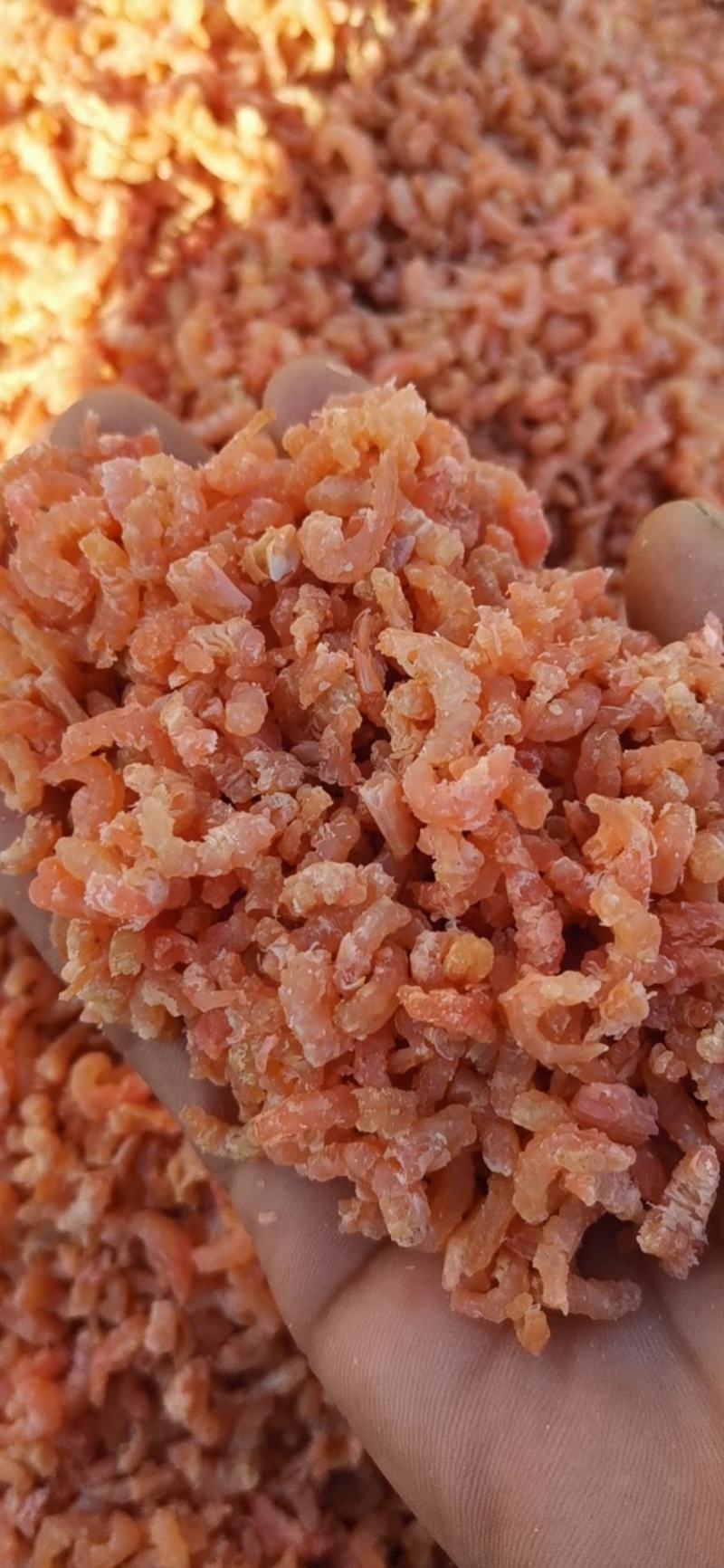 金钩海米（虾仁），渤海湾海虾米，淡干低盐分，口感好肉质松