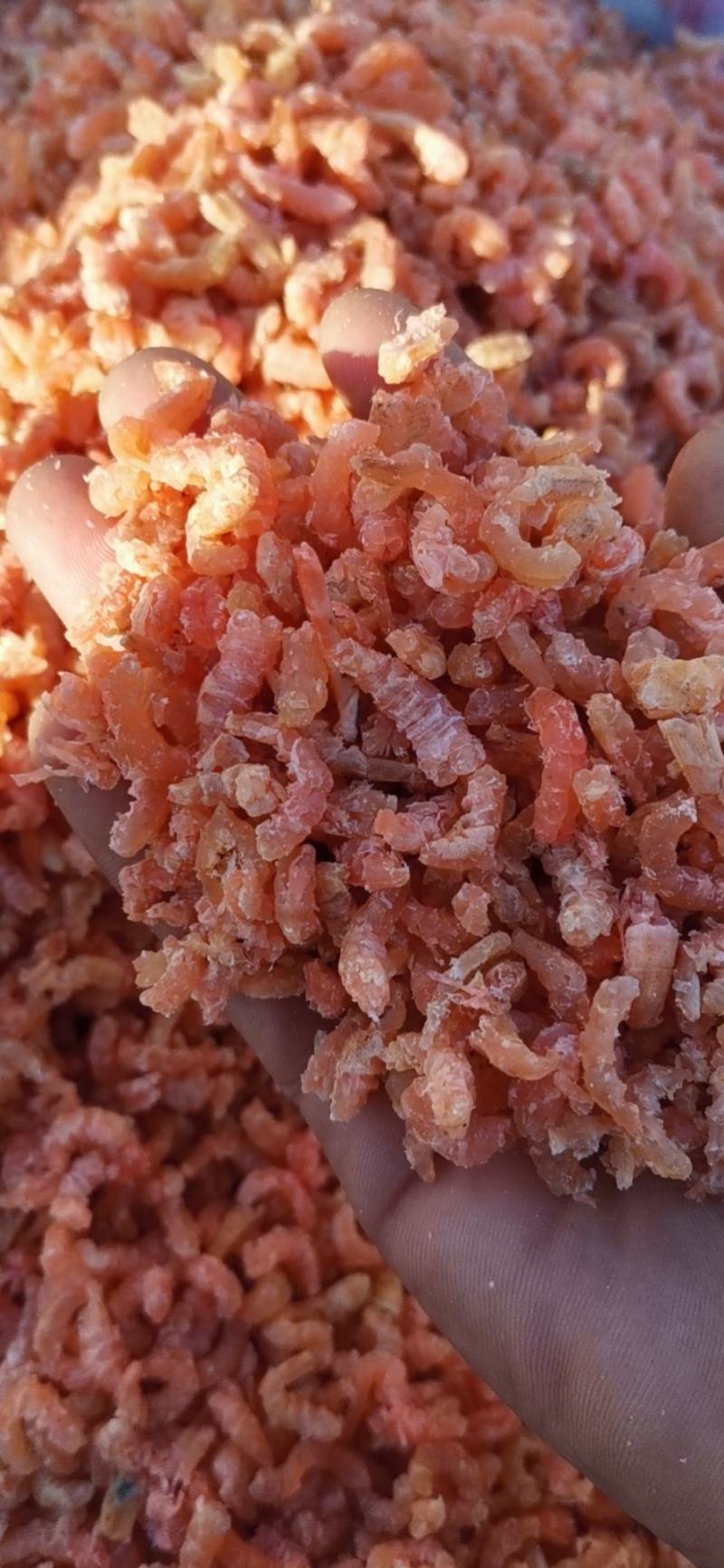 金钩海米（虾仁），渤海湾海虾米，淡干低盐分，口感好肉质松