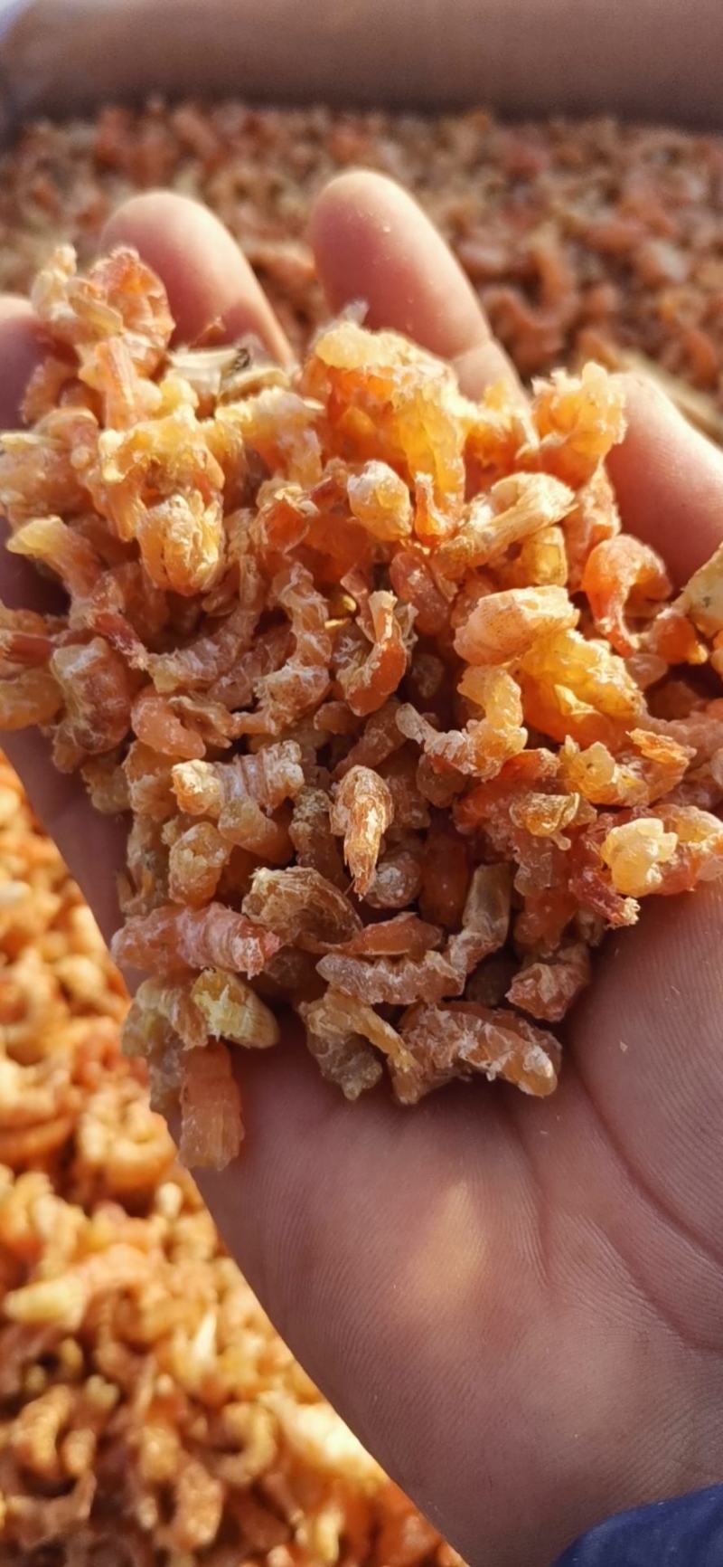 金钩海米（虾仁），渤海湾海虾米，淡干低盐分，口感好肉质松
