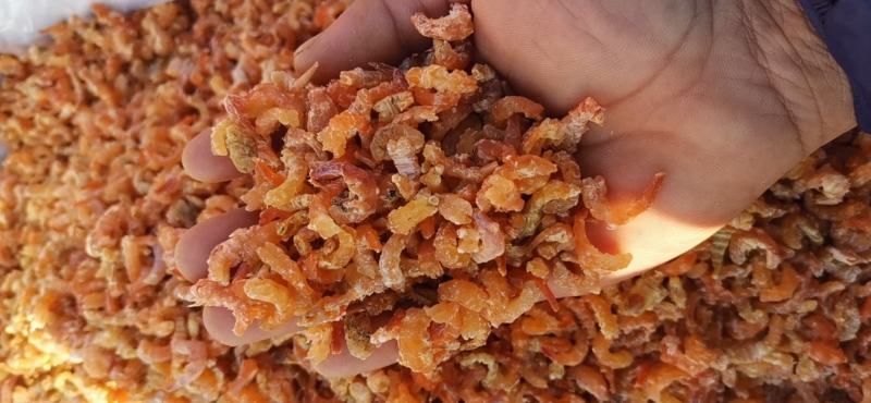 金钩海米（虾仁），渤海湾海虾米，淡干低盐分，口感好肉质松