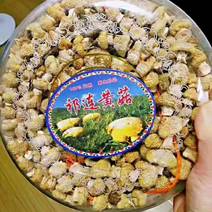 青藏【祁连山黄蘑菇】一件代发包邮、煲汤炒菜、味极鲜