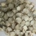 承德野生苦参片，1.0以上片，过0.5筛子，过风机。