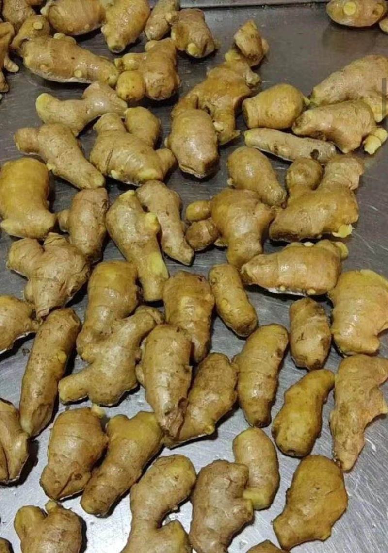 精品小黄姜产地直销一手货源价格低质量保证全国发货量大从优
