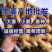 精品小黄姜产地直销一手货源价格低质量保证全国发货量大从优