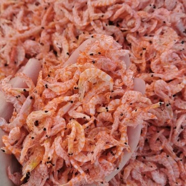 磷虾（无盐淡干磷虾皮），不咸口感好，一手货源质量保证。