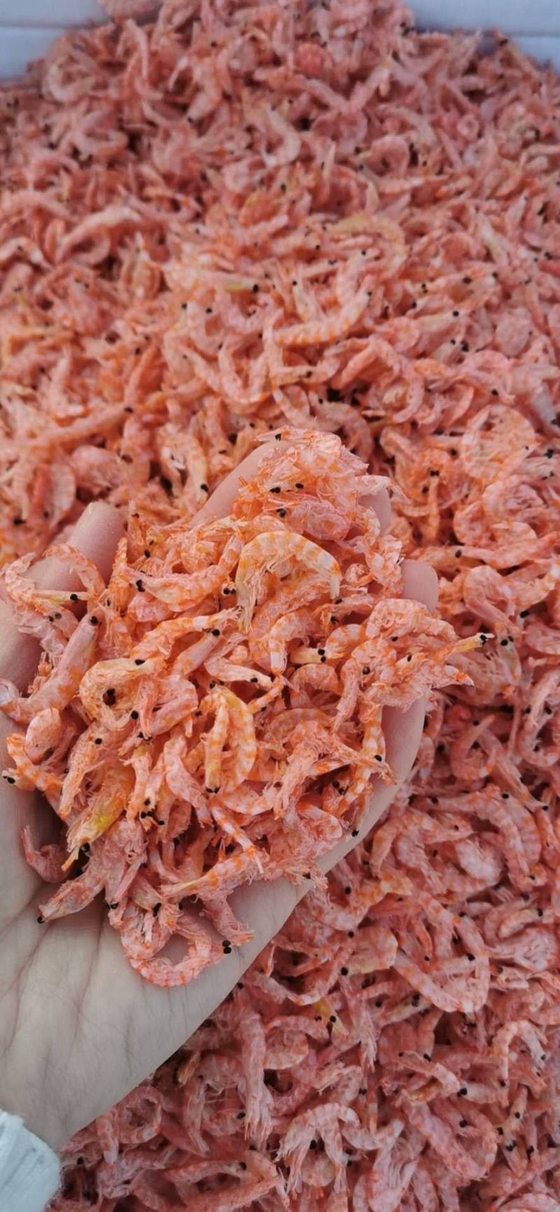 磷虾（无盐淡干磷虾皮），不咸口感好，一手货源质量保证。