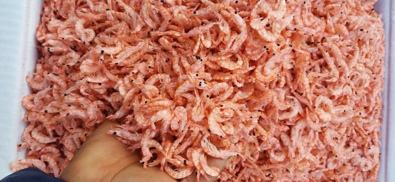 磷虾（无盐淡干磷虾皮），不咸口感好，一手货源质量保证。