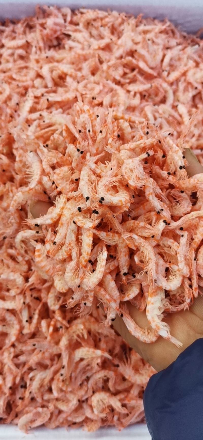 磷虾（无盐淡干磷虾皮），不咸口感好，一手货源质量保证。