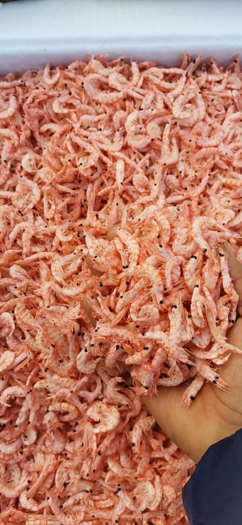磷虾（无盐淡干磷虾皮），不咸口感好，一手货源质量保证。