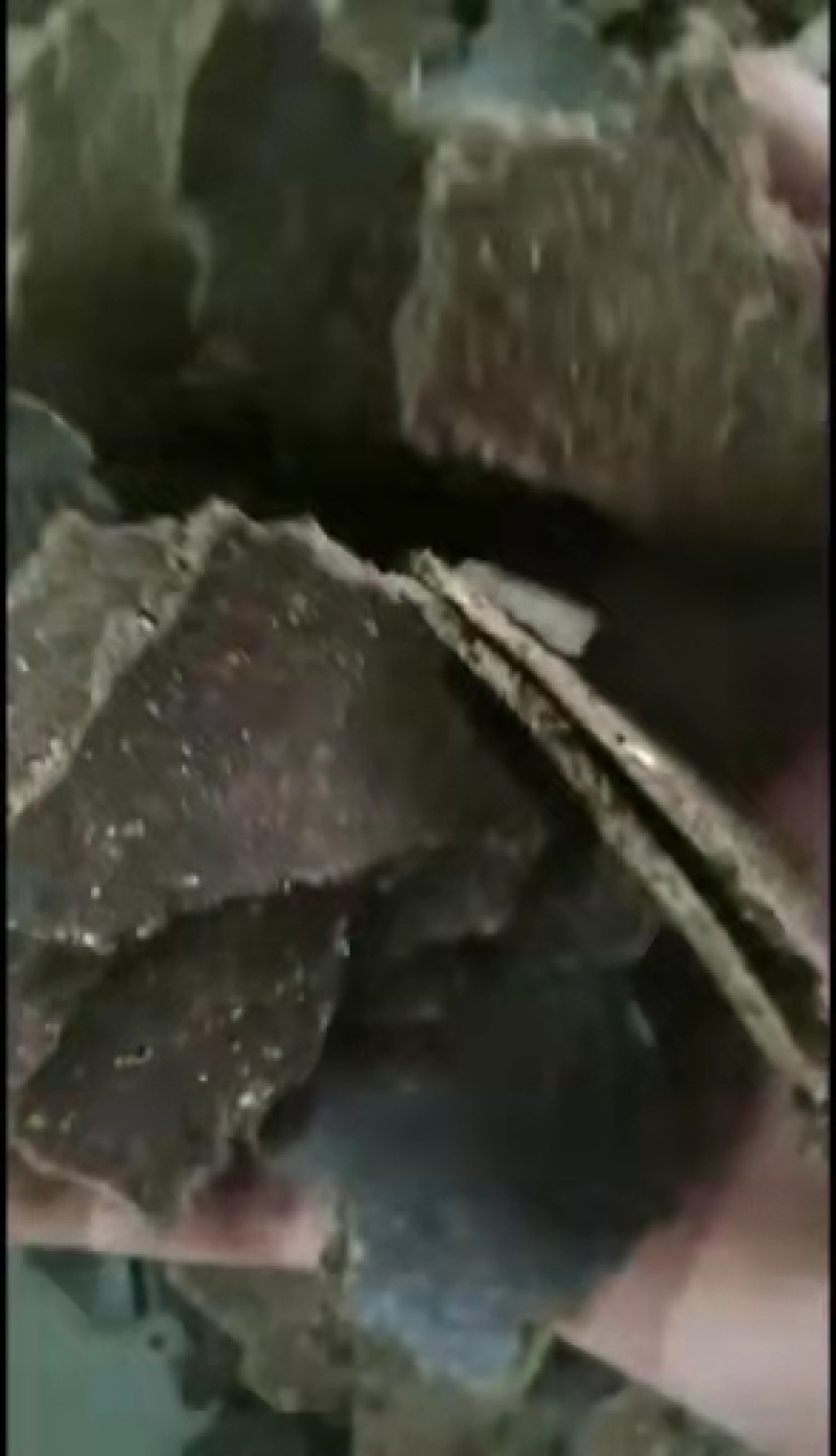 花生饼油性大质量保证诚信经营欢迎选购