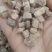 牛膝怀牛膝统货选货各种规格无硫水洗