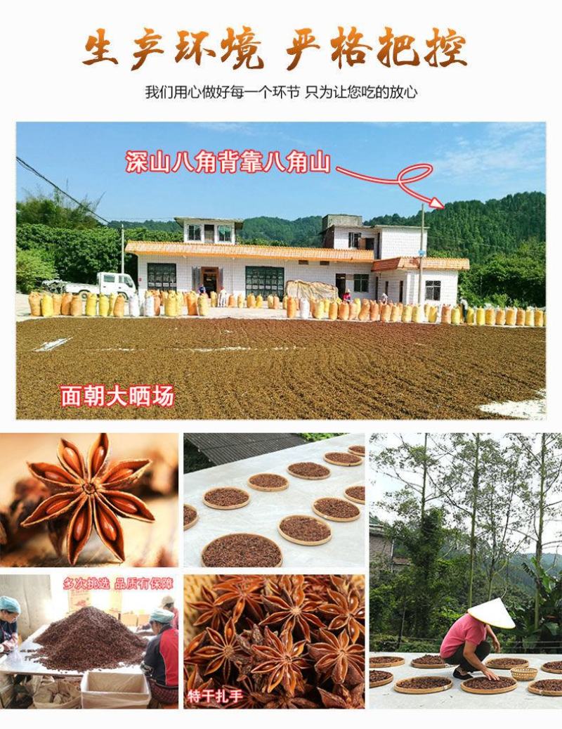 八角大红茴香春花八角广西大红调味香料大料调味料
