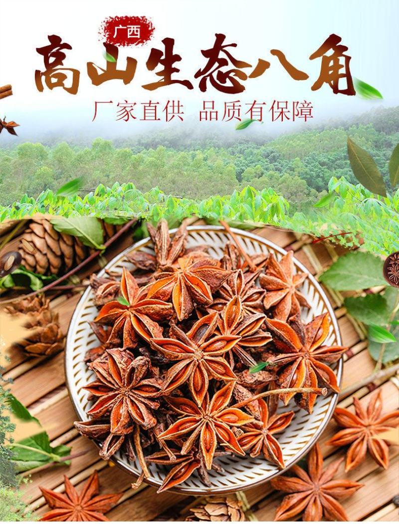 八角大红茴香春花八角广西大红调味香料大料调味料