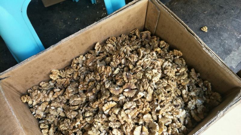 云南核桃仁泡核桃仁大片选货精选新货品质非常好