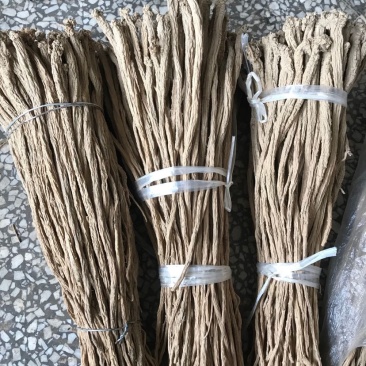 高山里的党参，纯党参，选货条子