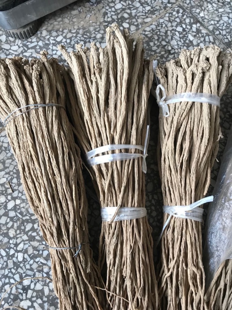 高山里的党参，纯党参，选货条子