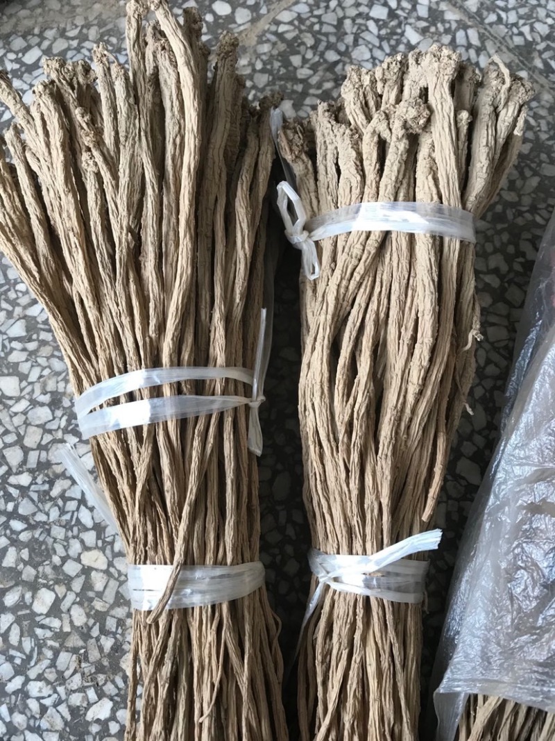 高山里的党参，纯党参，选货条子