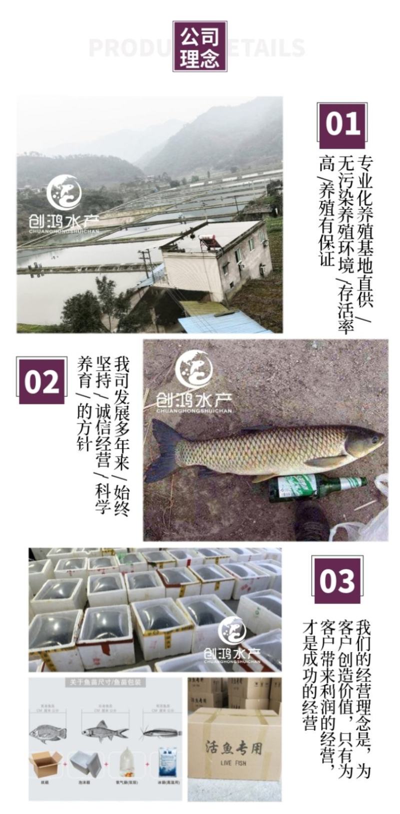 【大量供应】草鱼苗鲩鱼苗各类淡水鱼苗已打疫苗