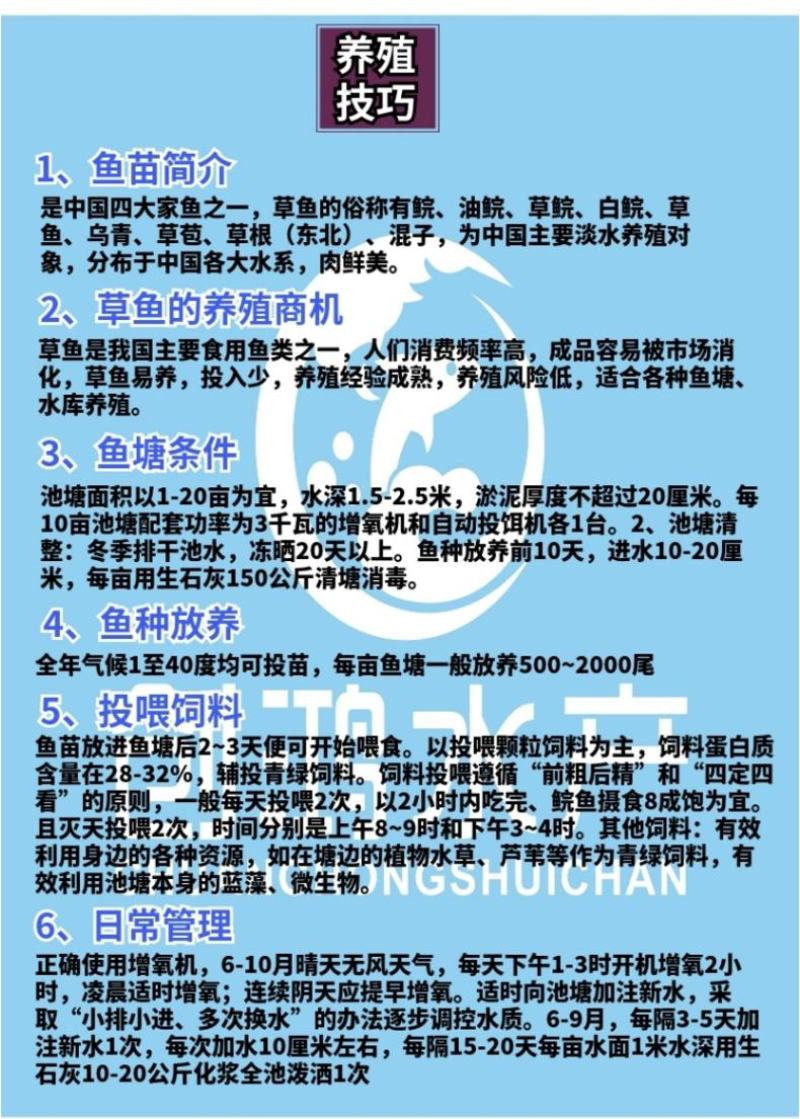 【大量供应】草鱼苗鲩鱼苗各类淡水鱼苗已打疫苗