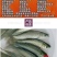 【大量供应】草鱼苗鲩鱼苗各类淡水鱼苗已打疫苗