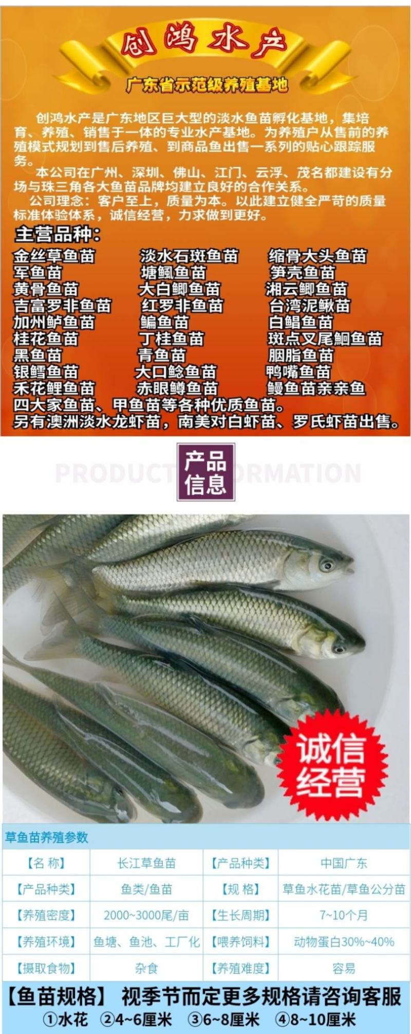 【大量供应】草鱼苗鲩鱼苗各类淡水鱼苗已打疫苗