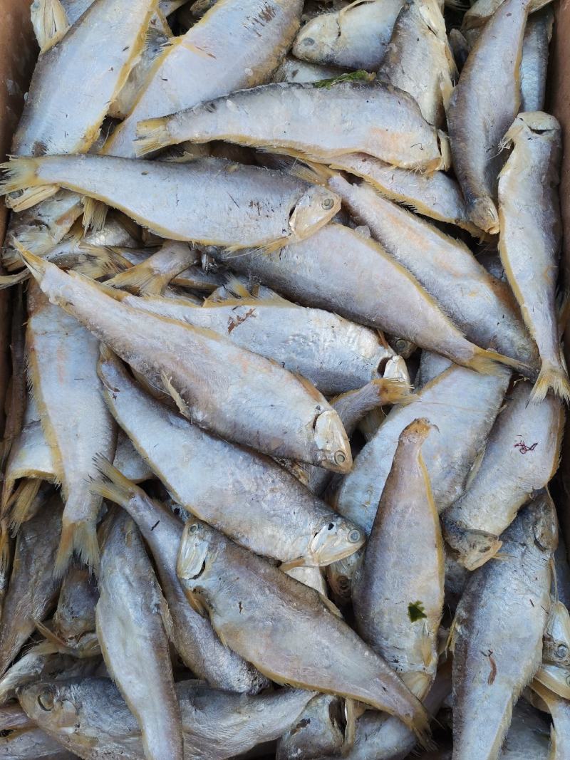 马口鱼（咸鱼），泡水之后蒸炸都很好，口感好一手货源