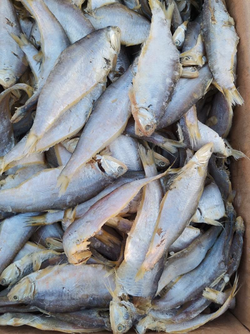 马口鱼（咸鱼），泡水之后蒸炸都很好，口感好一手货源