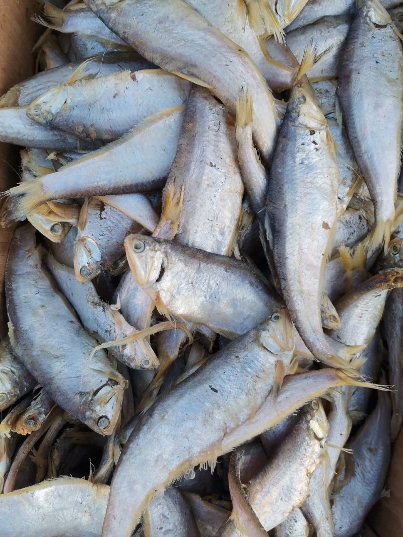 马口鱼（咸鱼），泡水之后蒸炸都很好，口感好一手货源