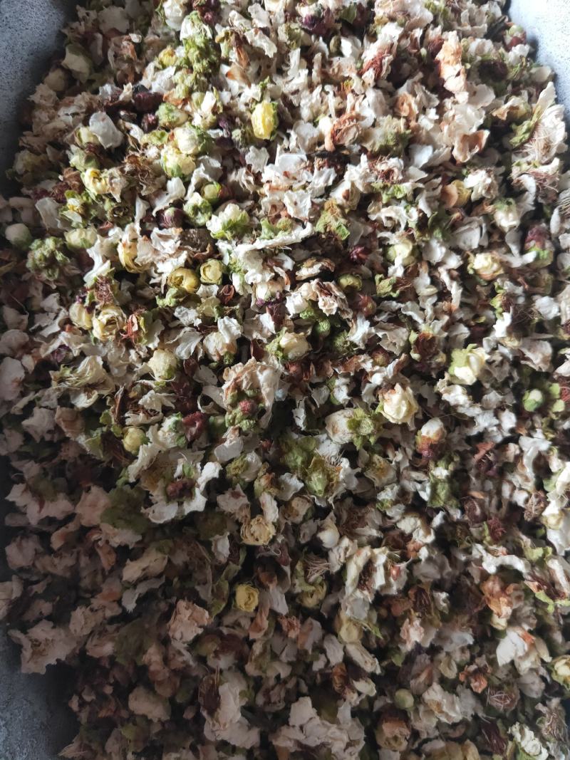 绿鄂梅，绿梅花，白梅花代抓各种药方不满意可以退换货