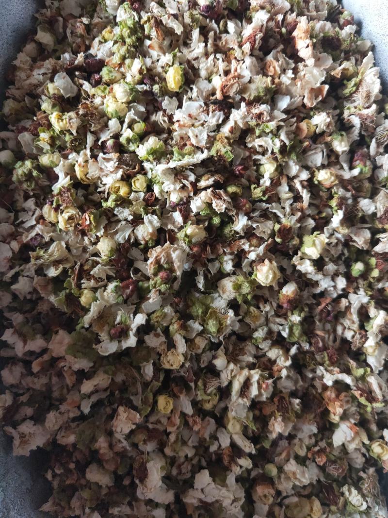 绿鄂梅，绿梅花，白梅花代抓各种药方不满意可以退换货