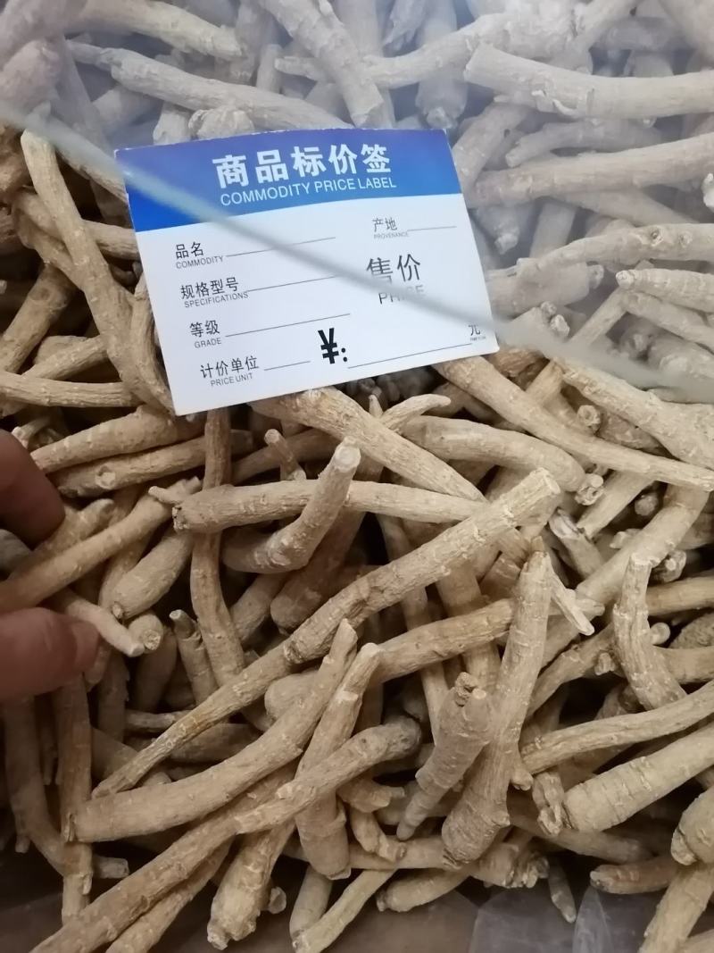 加拿大进口萝卜头西洋参（参中之花）可以免费帮切片。
