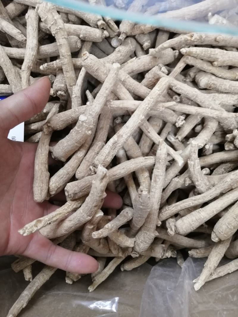 加拿大进口萝卜头西洋参（参中之花）可以免费帮切片。