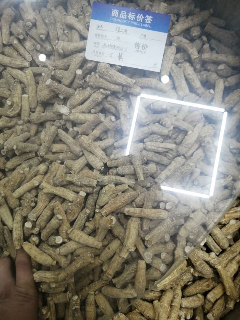 加拿大进口萝卜头西洋参（参中之花）可以免费帮切片。