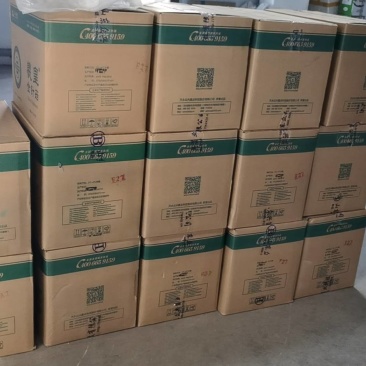 金针菇一手货源欢迎订购致电
