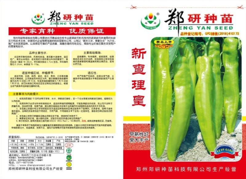 黄皮辣椒种子厚皮辣椒种子辣味浓抗病能力强口感好