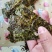 3袋包邮赶海娃夹心海苔夹心海苔多种口味每包40g