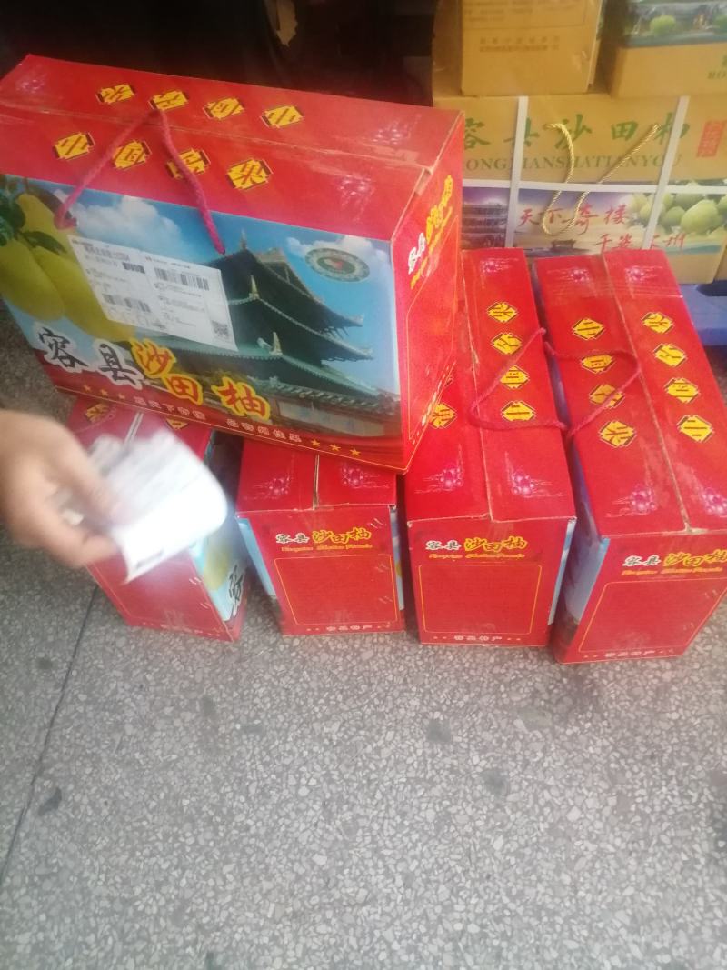 沙田柚自产自销包熟包甜两广包邮可全国一件代发