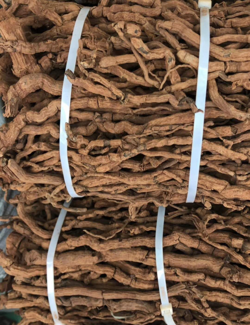 胡椒根【包邮】三斤起发货可批量可零售量大从优