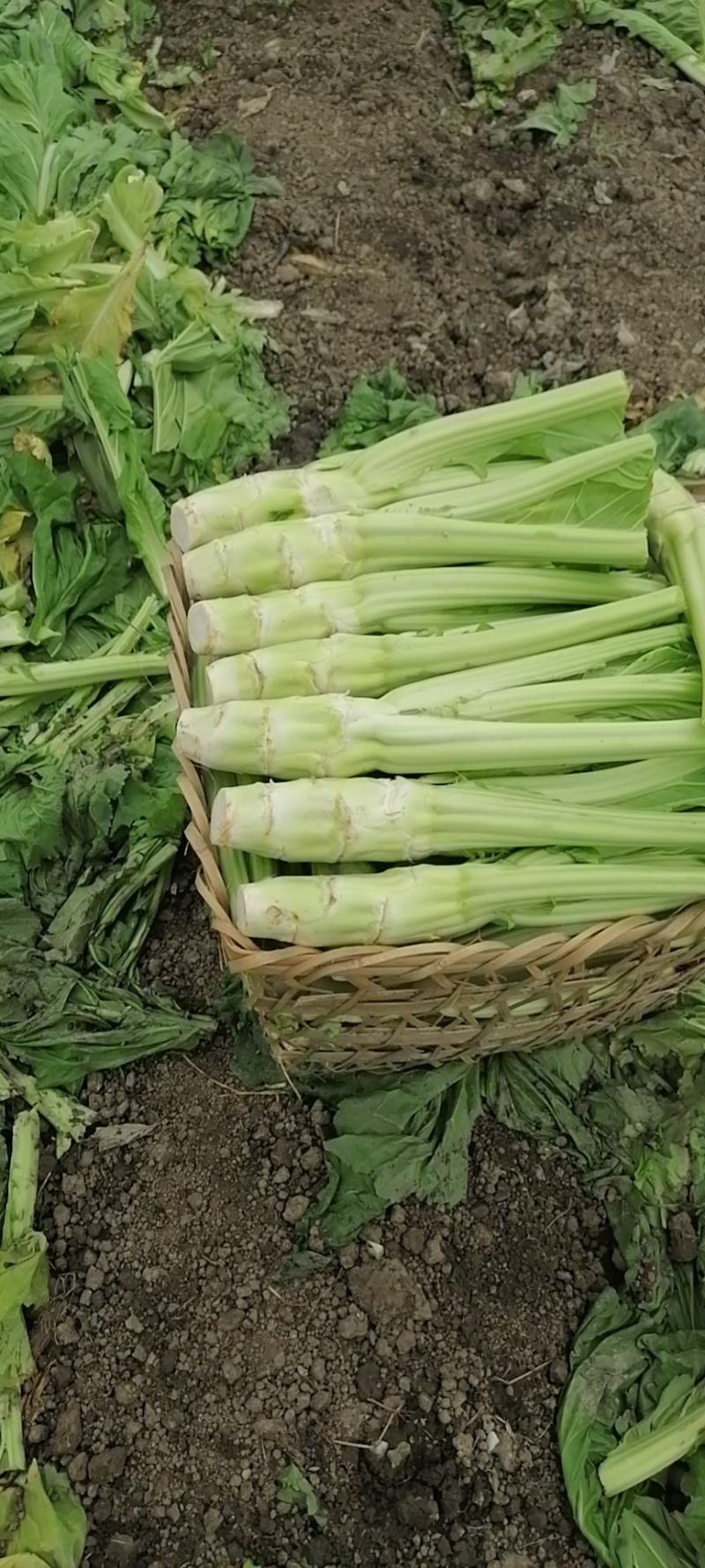 四川省广汉市精品棒菜