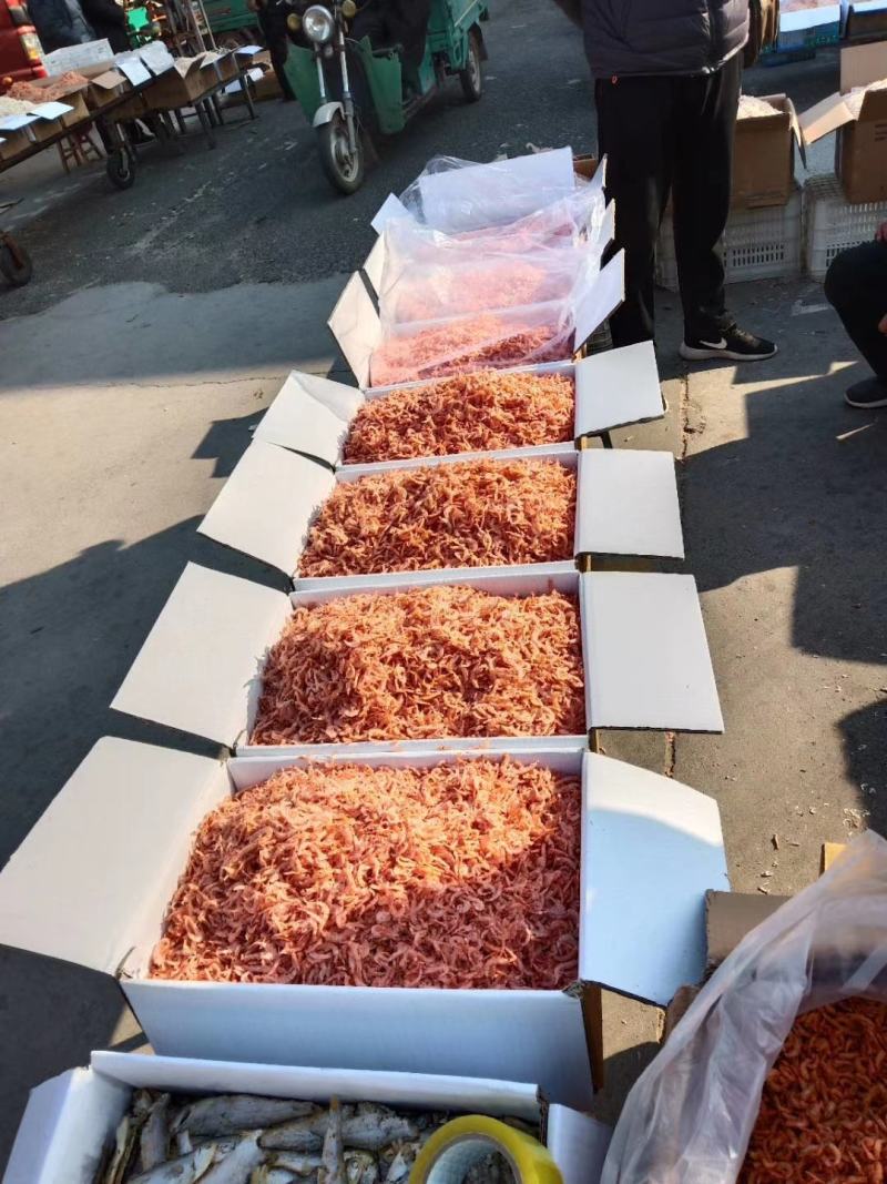 磷虾米，淡干无盐南极磷虾米，大量现货，量大从优