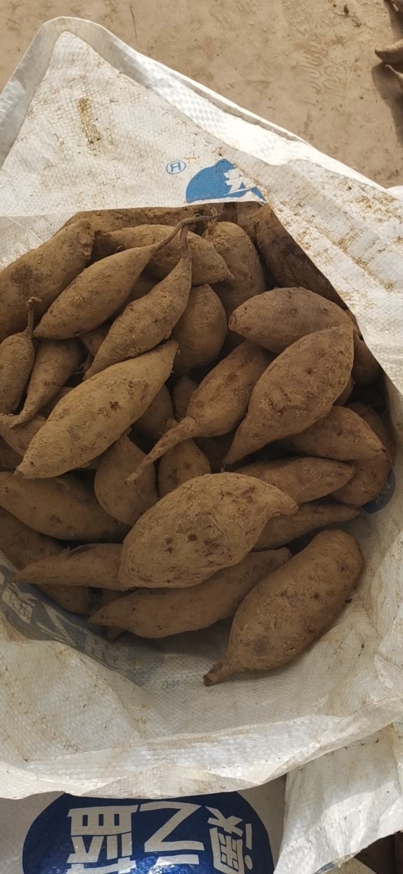 云南高原紫薯…欢迎来洽谈