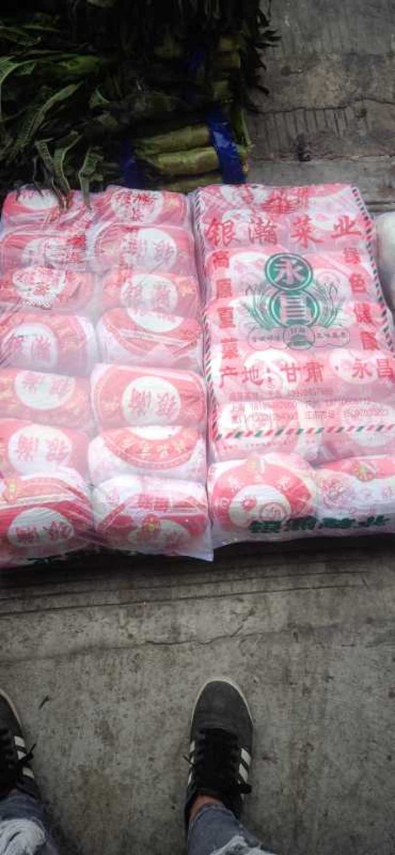 河南冷库库存黄心娃娃菜大娃小娃精包装质量不错大量上求合作