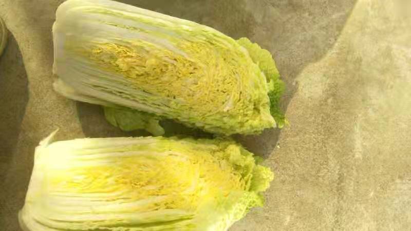 商丘黄心娃娃菜大量上市