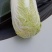 商丘黄心娃娃菜大量上市