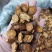 炙甘草甘肃地道炙甘草蜜制干净无杂规格齐全